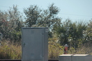 2020-01-06.9086.Titusville-FL.jpg