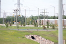 2020-06-14.0162.Edmonton.jpg