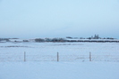 2020-12-29.1585.Ranfurly-AB.jpg