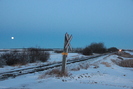 2020-12-29.1631.Ranfurly-AB.jpg