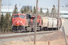 2021-04-24.2260.Edmonton.jpg