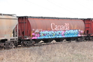 2021-04-24.2276.Edmonton.jpg