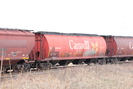2021-04-24.2299.Edmonton.jpg