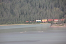 2021-07-26.1833.Jasper.jpg