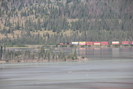 2021-07-26.1844.Jasper.jpg