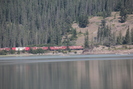 2021-07-26.1862.Jasper.jpg