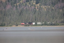2021-07-26.1918.Jasper.jpg
