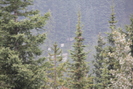 2021-08-03.6112.Yoho-NP_BC.jpg