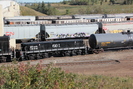 2021-09-13.4337.Edmonton.jpg