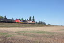 2021-09-13.4490.Edmonton.jpg