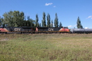 2021-09-13.4685.Edmonton.jpg