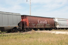 2021-09-14.4748.Edmonton.jpg