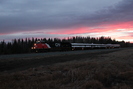 2021-10-27.4901.Wildwood-AB.jpg