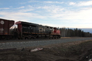 2021-10-27.4912.Wildwood-AB.jpg