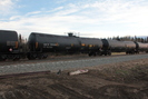 2021-10-27.4916.Wildwood-AB.jpg