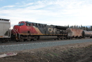 2021-10-27.4923.Wildwood-AB.jpg