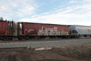 2021-10-27.4929.Wildwood-AB.jpg