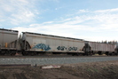 2021-10-27.4933.Wildwood-AB.jpg