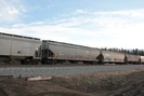 2021-10-27.4934.Wildwood-AB.jpg