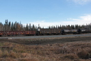 2021-10-27.4959.Wildwood-AB.jpg