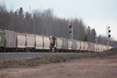 2021-10-27.4964.Wildwood-AB.jpg