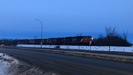 2022-01-12.5502.Edmonton.jpg