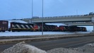 2022-01-12.5514.Edmonton.jpg