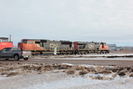 2022-02-10.5643.Vegreville-AB.jpg