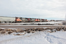 2022-02-10.5646.Vegreville-AB.jpg