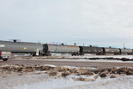 2022-02-10.5650.Vegreville-AB.jpg