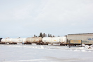 2022-02-10.5656.Vegreville-AB.jpg