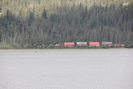 2022-07-16.5357.Jasper.jpg