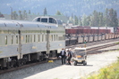 2022-07-16.5428.Jasper.jpg