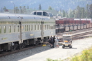 2022-07-16.5429.Jasper.jpg