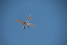 2023-04-08.6343.Edmonton.jpg