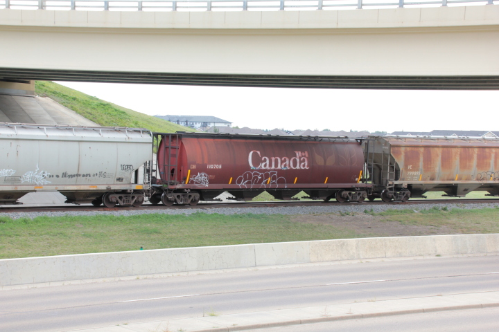 2021-09-07.4079.Edmonton.jpg