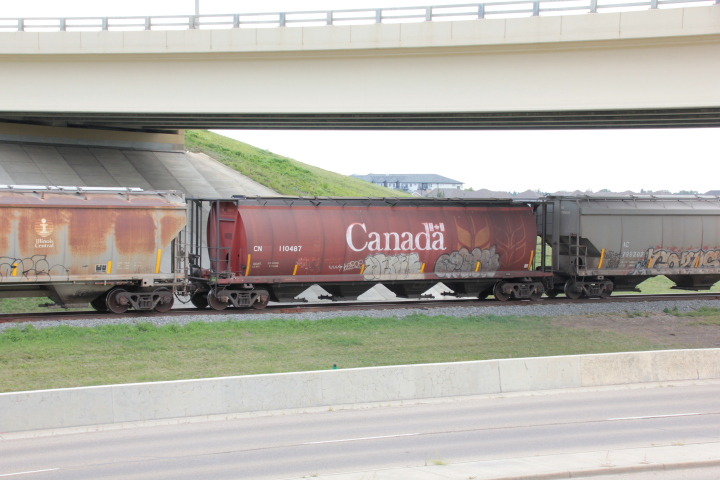 2021-09-07.4080.Edmonton.jpg