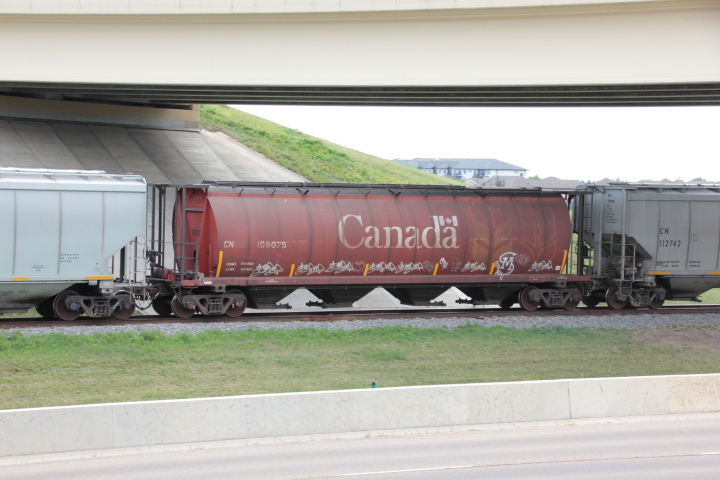 2021-09-07.4087.Edmonton.jpg
